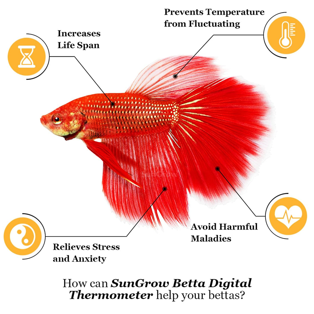 SunGrow Digital Betta Thermometer for Tropical Aquarium Fish