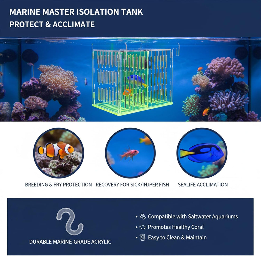 Fish Tank Divider & Breeder Box, Acrylic Aquarium Isolation Hatchery