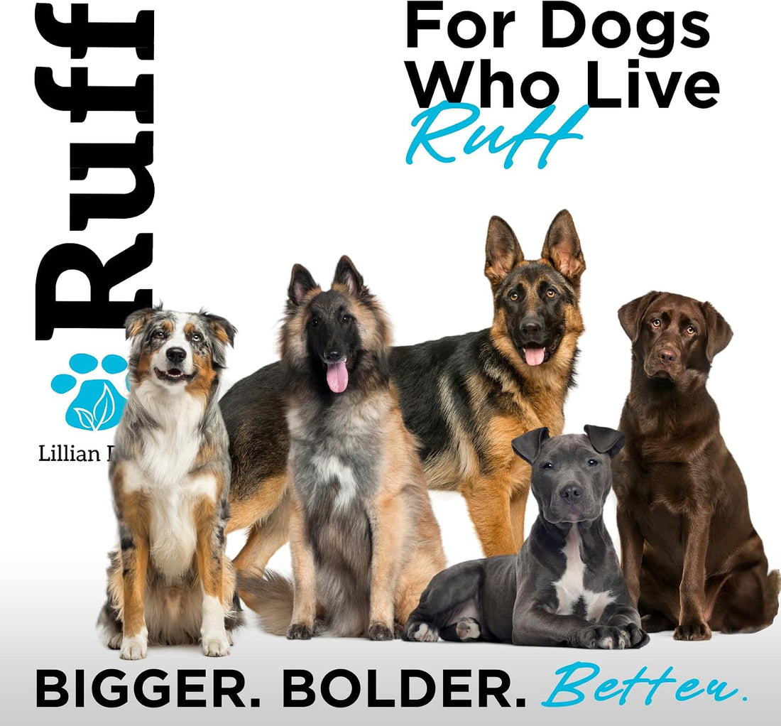 Ruff by Lillian Ruff Sandalwood Coconut Oatmeal Conditioner for Dogs