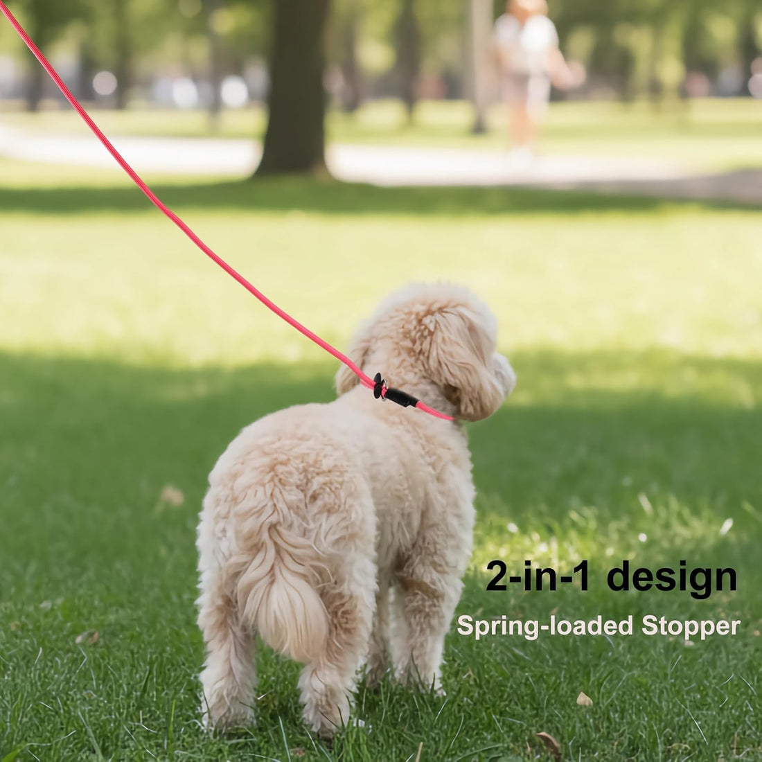 Slip Lead Dog Leash 6ft Dog Training Leads 1/4” Nylon Rope Pet Lead