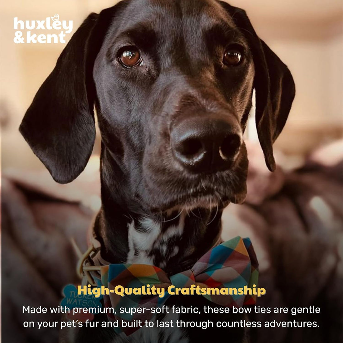 Huxley & Kent Pet Bow Tie for Dogs & Cats, Fall Check, Large/XLarge
