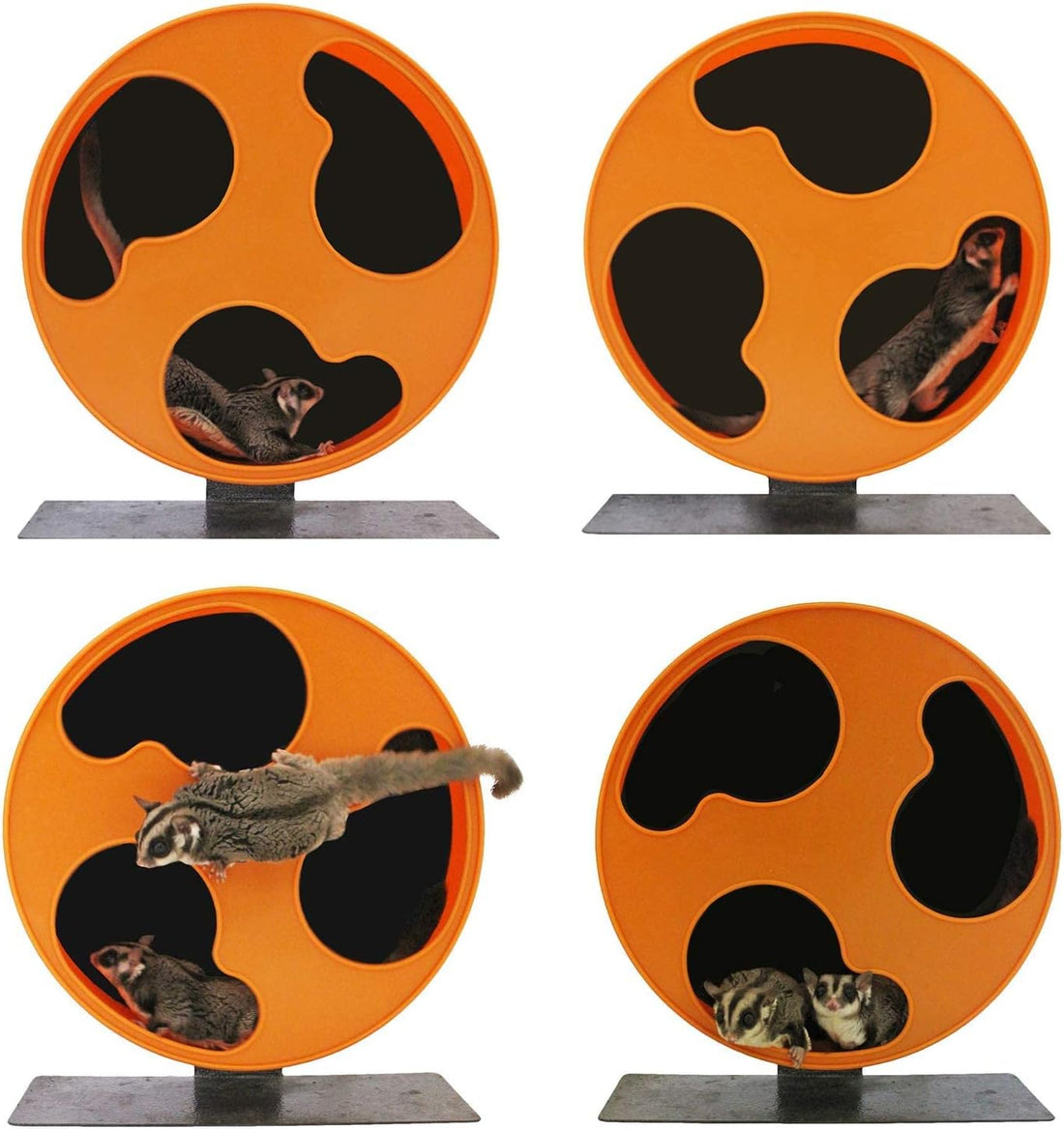 Silent Runner 12" Regular | Wheel + Cage Attachment | Sugar Gliders