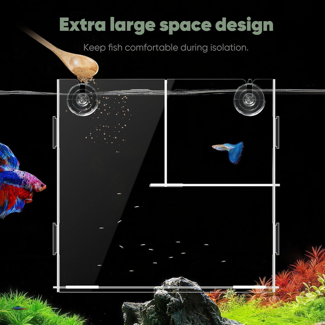 DIY Aquarium Breeding & Isolation Box, Fish Fry Hatchery Tank