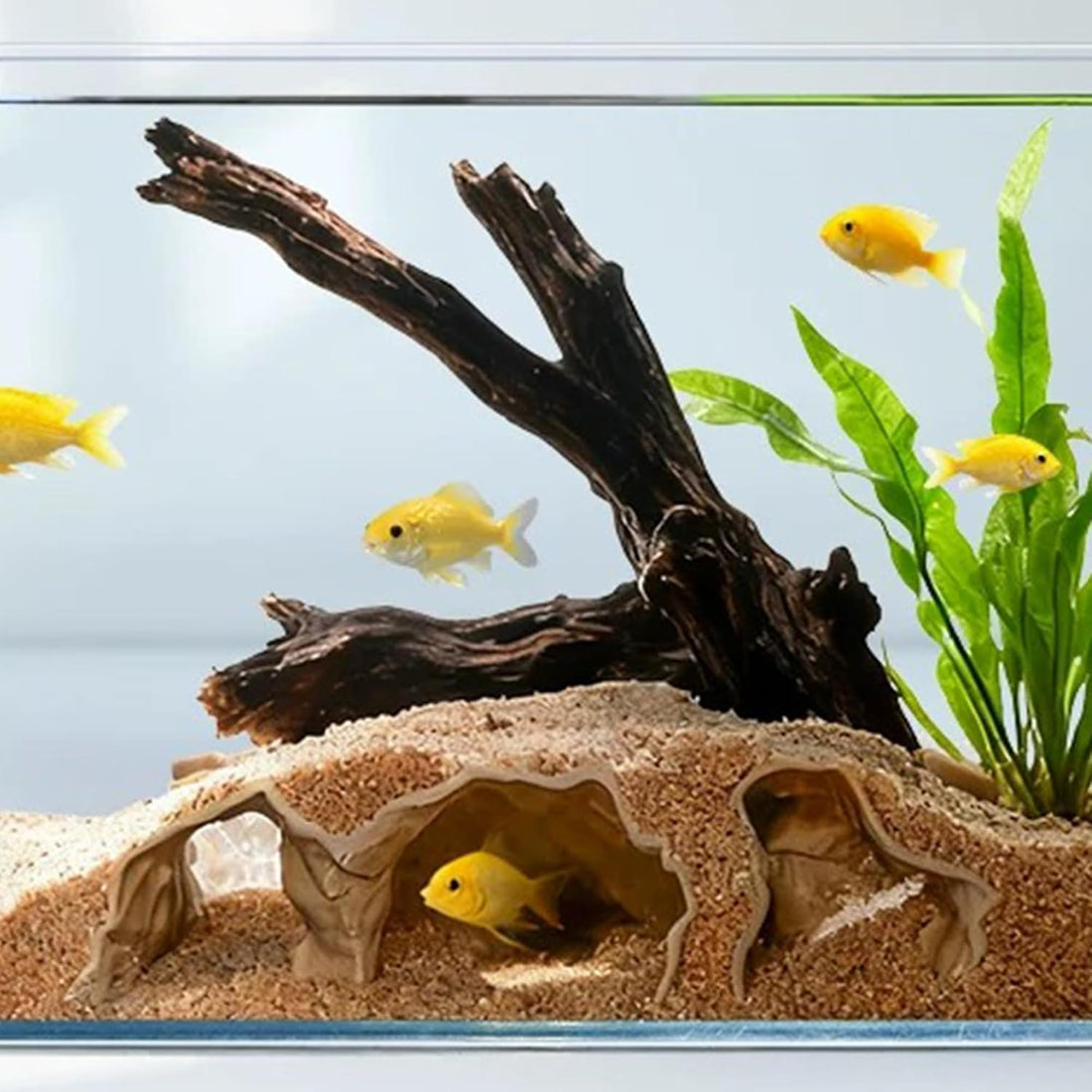 LIYAOLI Aquarium Ornaments Cave Tunnel with Viewing Ports