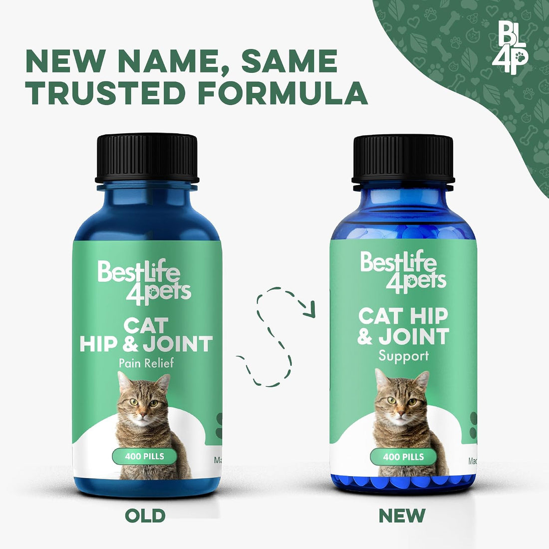 Cat Joint Supplement and Mobility Support