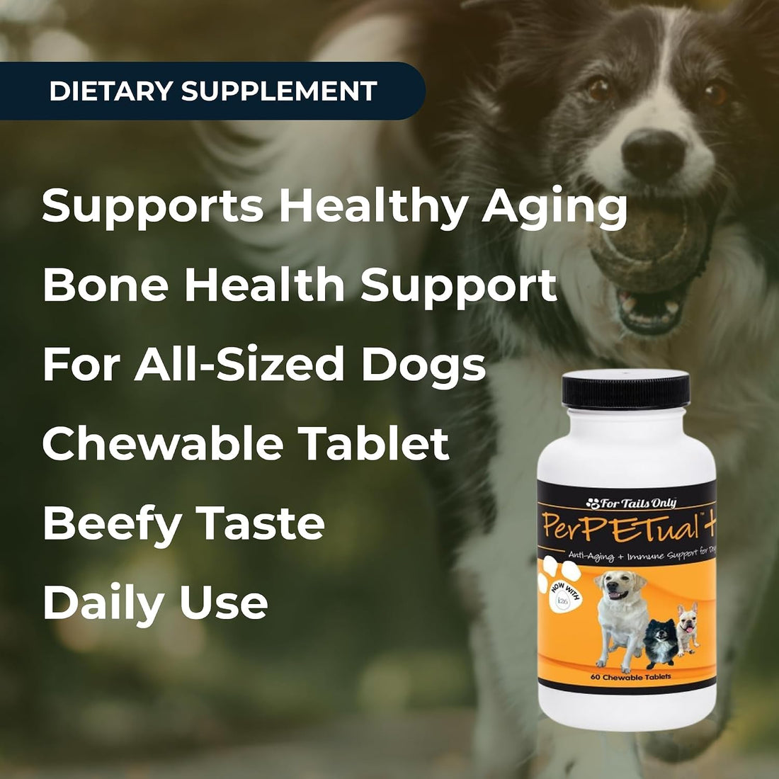 Youngevity Perpetual Plus Dog Supplement for Healthy Aging, 60 Tablets