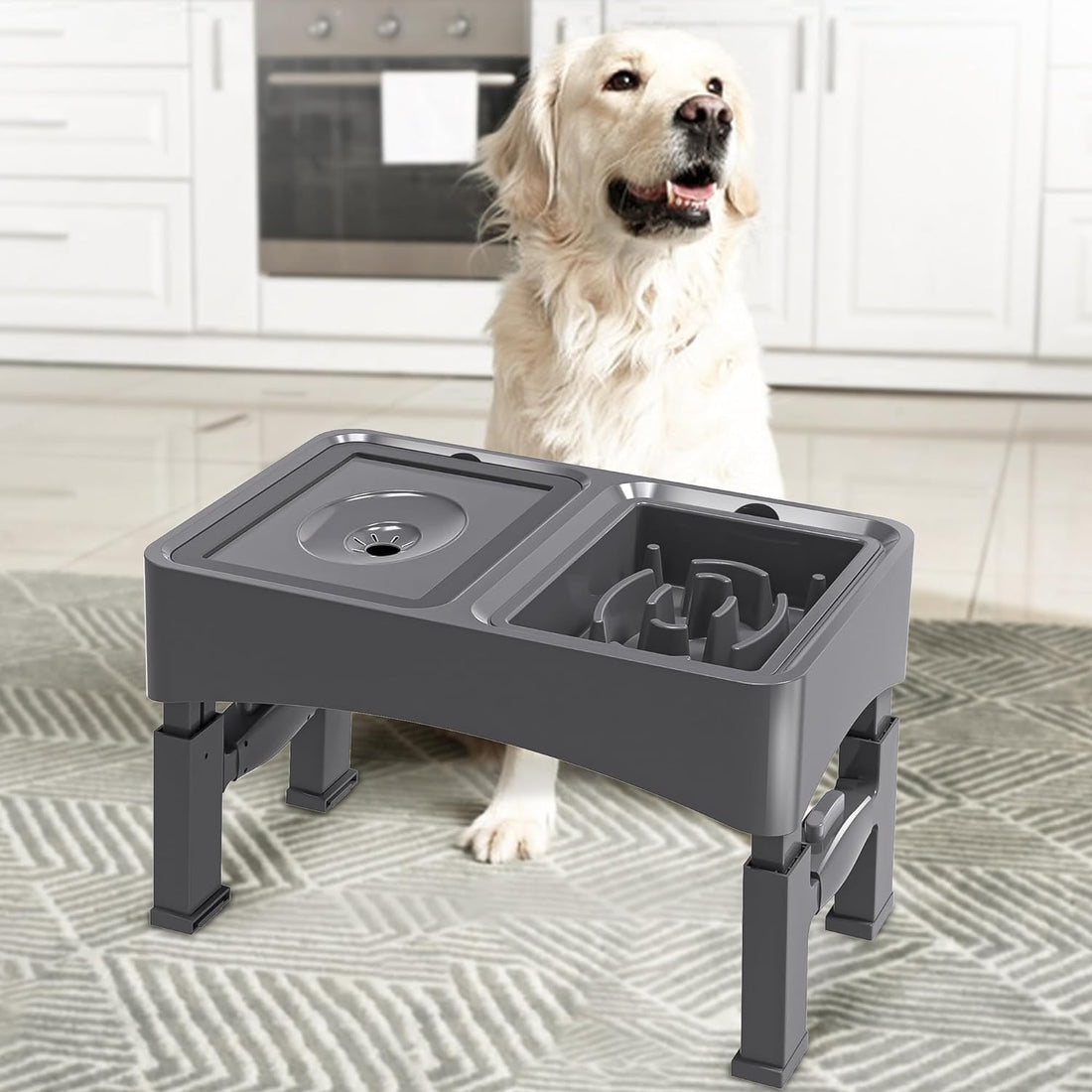 UPSKY 2-in-1 Elevated Dog Bowls Slow Feeder
