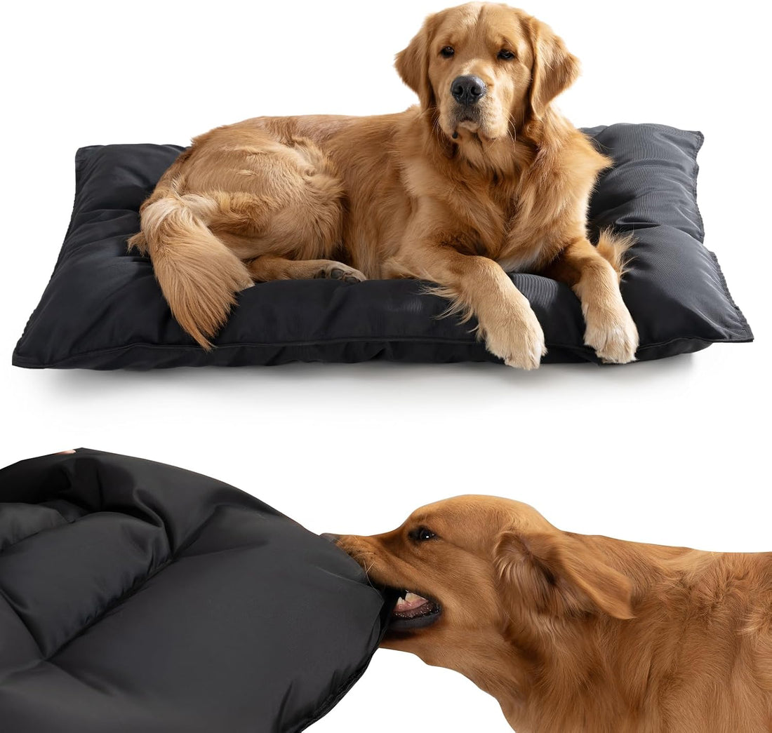 Chew Proof Indestructible Dog Bed,Medium (22"x35")