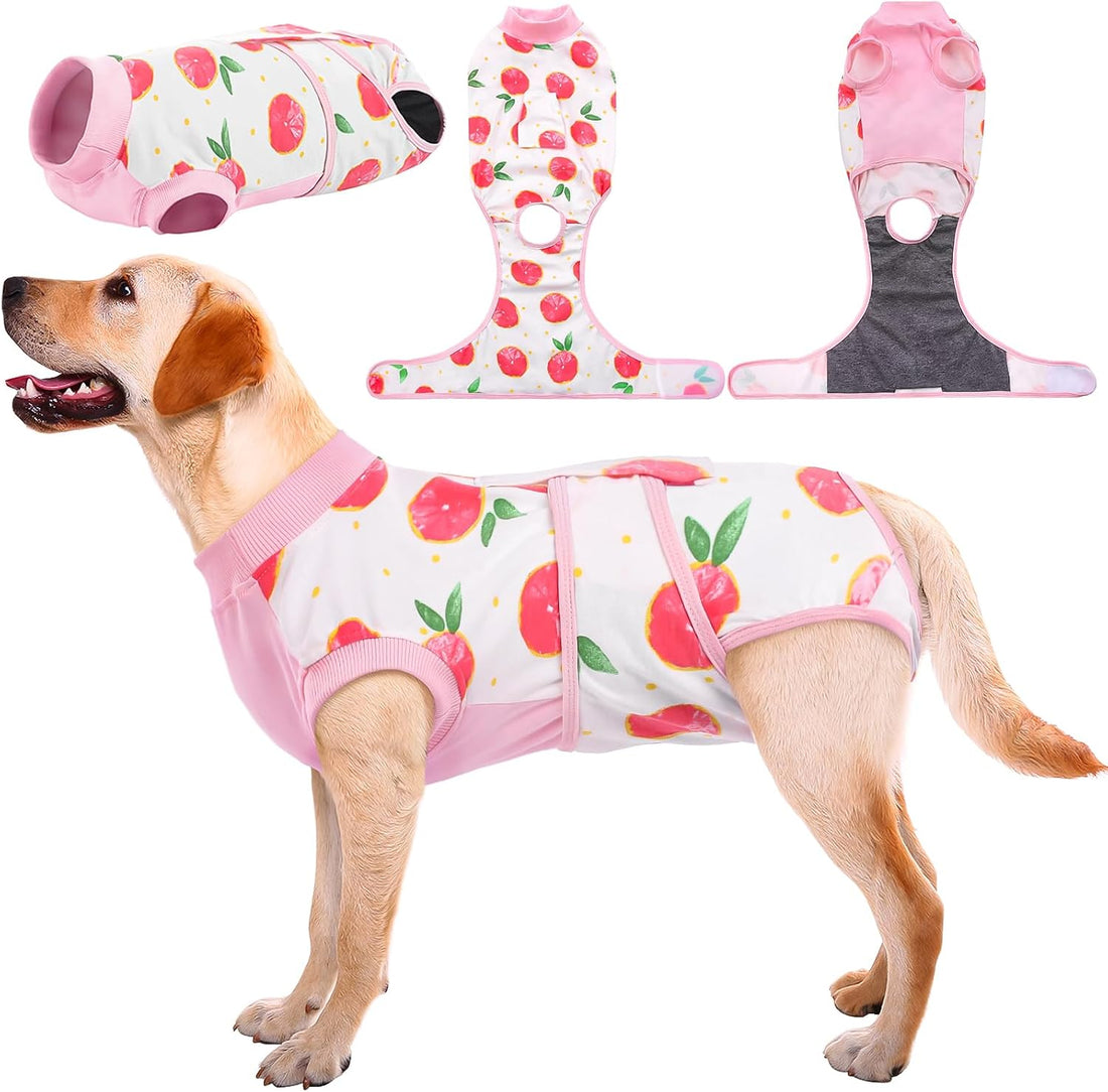 Kuoser Recovery Suit for Dogs Cats