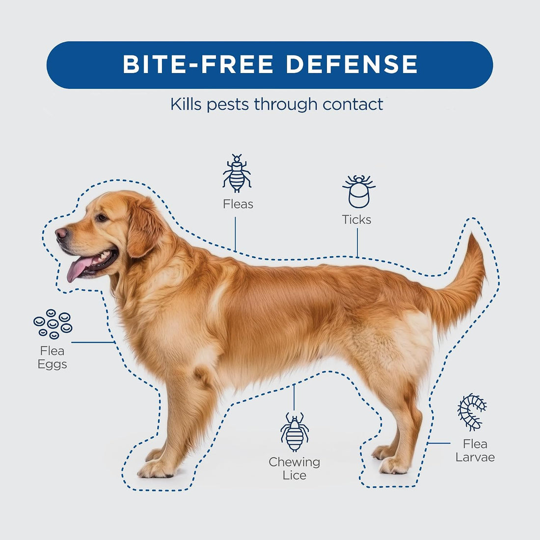 FirstAct Plus Flea and Tick Prevention for Dogs