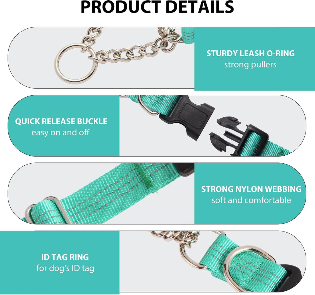 Martingale Collar for Dogs,Escape Proof No Pull, Teal, Large