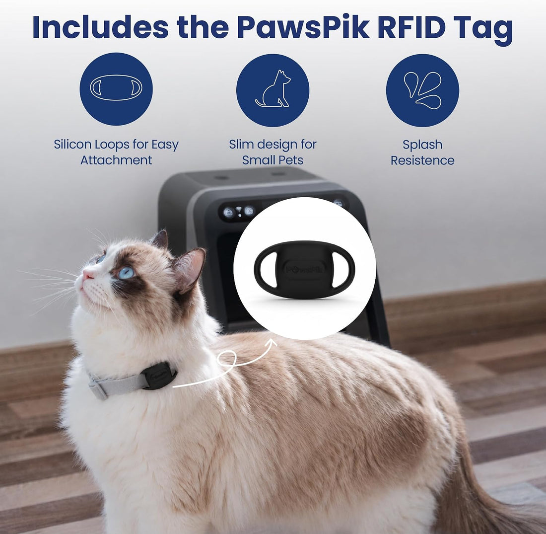 PawsPik Automatic Microchip RFID Cat Feeder, 16-Cup, Black