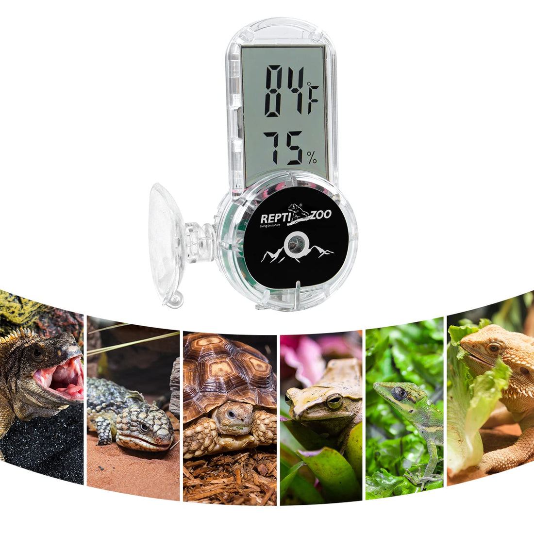 REPTI ZOO Upgraded Reptile Terrarium Thermometer Hygrometer,Digital