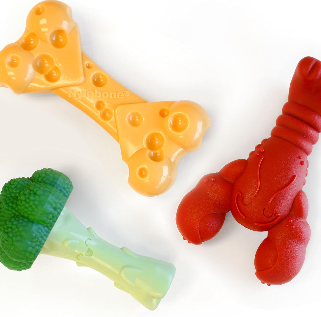 Nylabone Power Chew Toy Bundle, Dog Toys for Aggressive Chewers