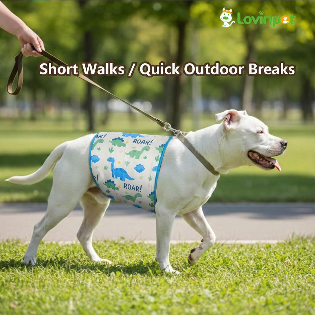 LovinPet Dog Belly Warmer Calming Wrap, Dinosaur Print