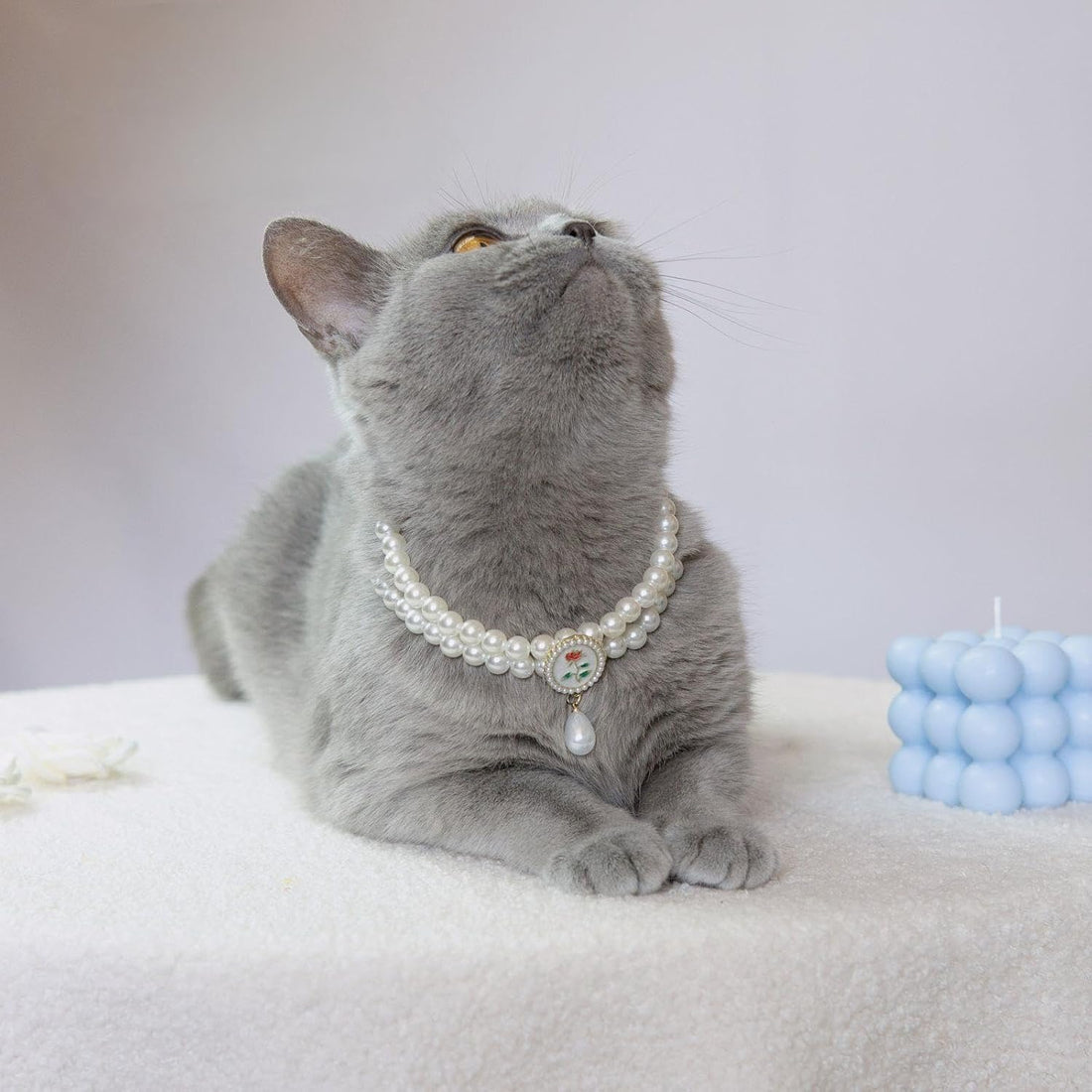 MITOCAPY Dog Collar,Handmade Cat Necklace Jewelry for Small Dogs Puppy