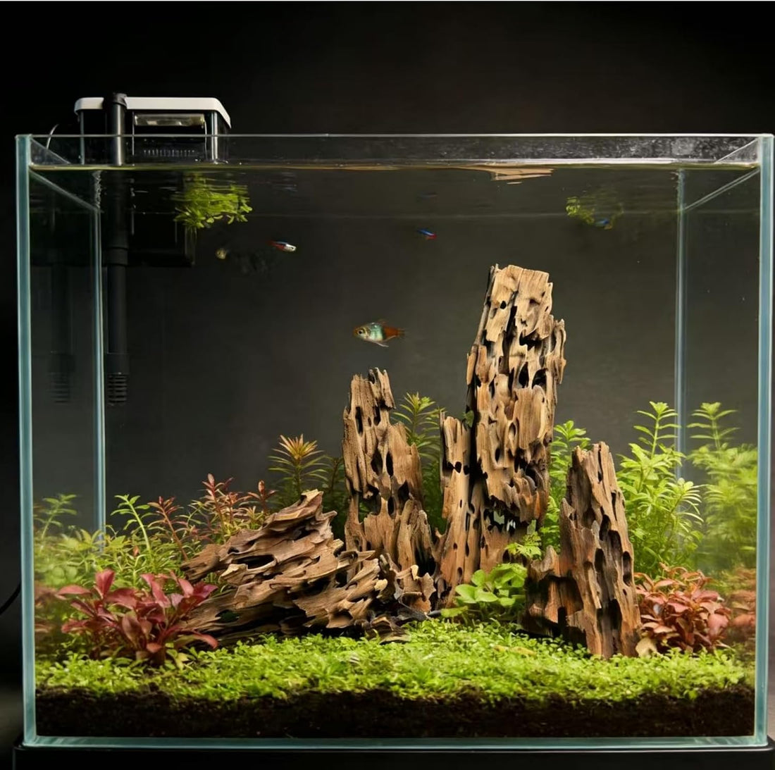 Aquarium Driftwood Shrimp Wood Natural Trunk & Assorted Branches