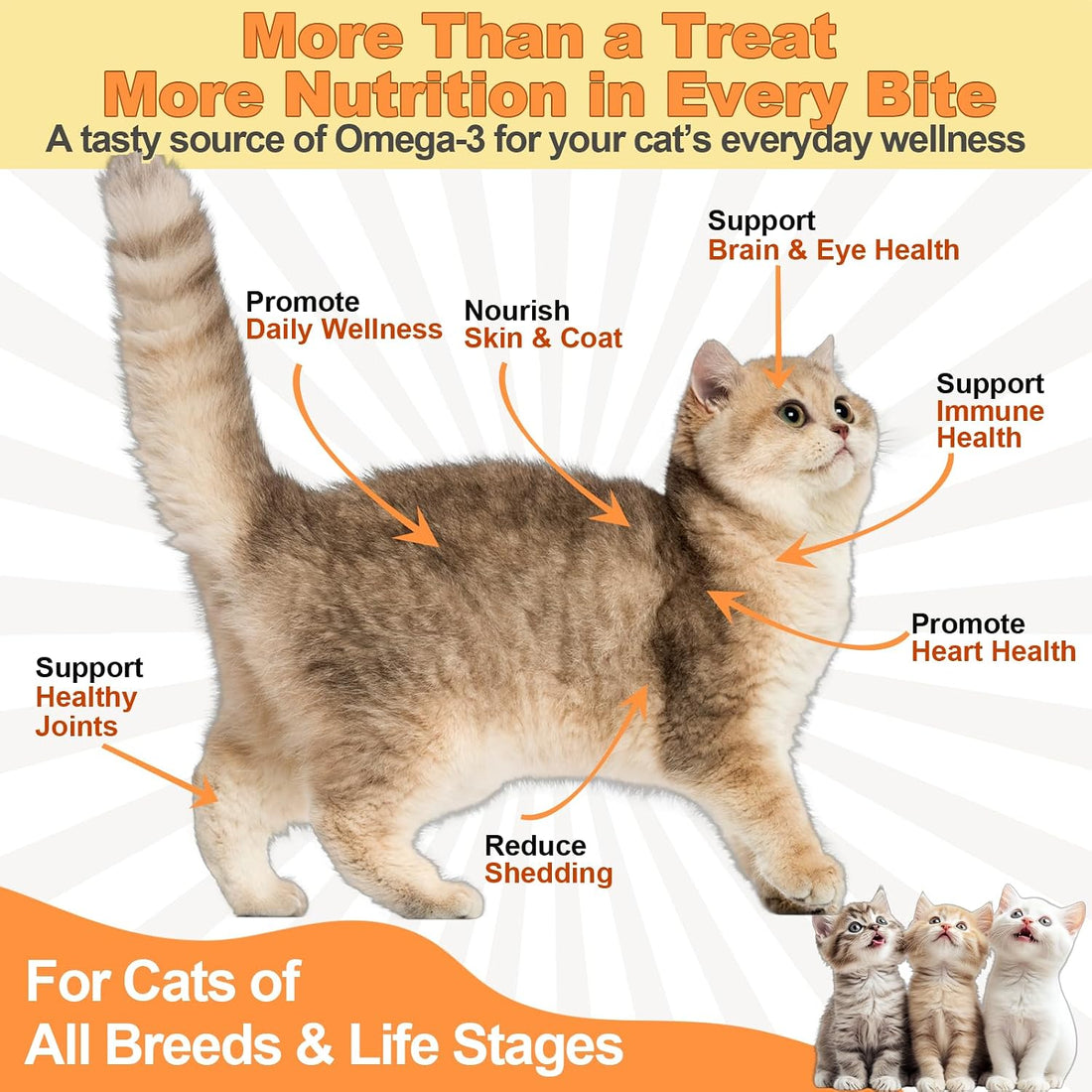 Freeze-Dried Chicken Cat Treats with Omega-3 Fish Oil Capsules