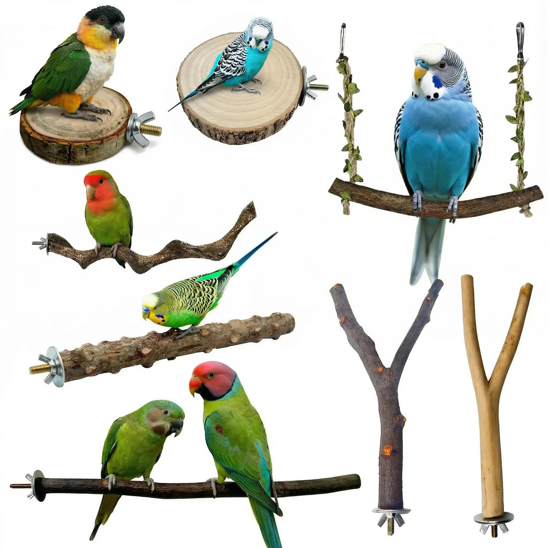8PCS Natural Bird Perches for Cage, Parakeet Perches Set, Birds Toys