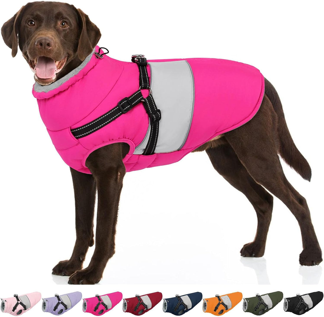 Warm Dog Coat with Harness Built in Dog Jacket for Small Dogs