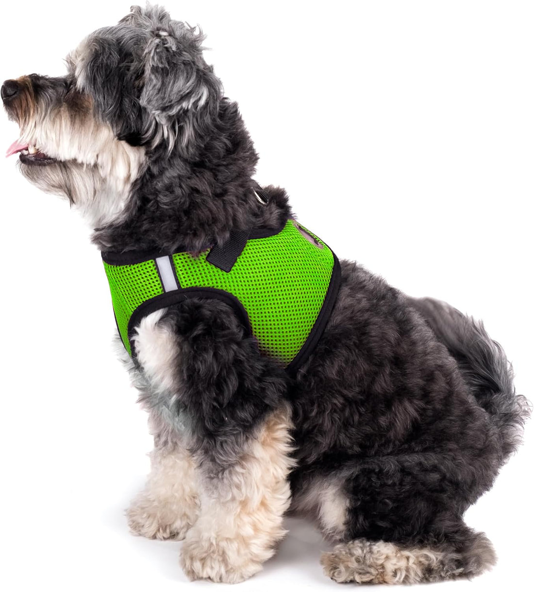 THE WORTHY DOG Easy Step-in Mesh Harness for Medium Dogs, Black