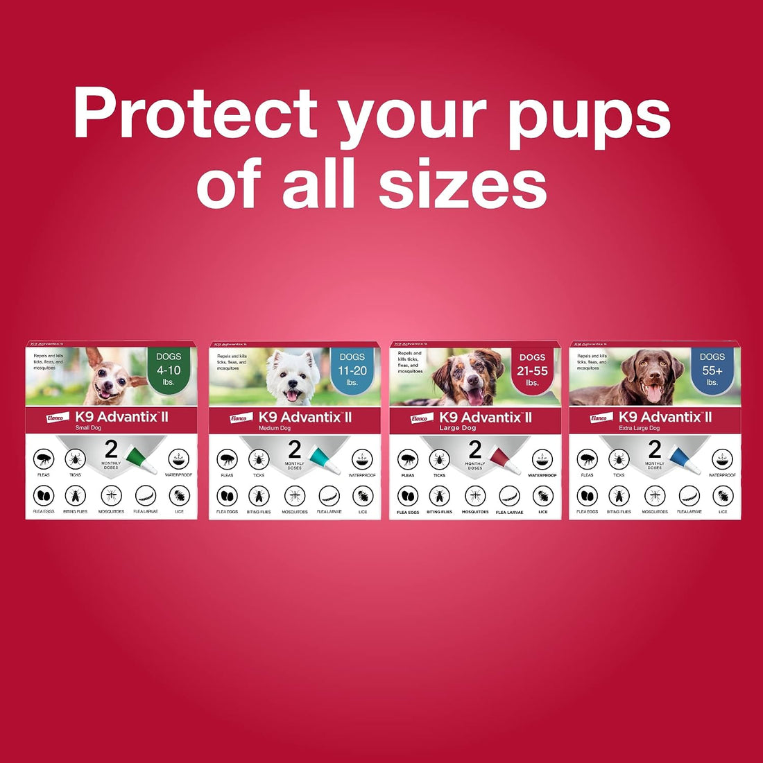 K9 Advantix II Small Dog Vet-Recommended Flea
