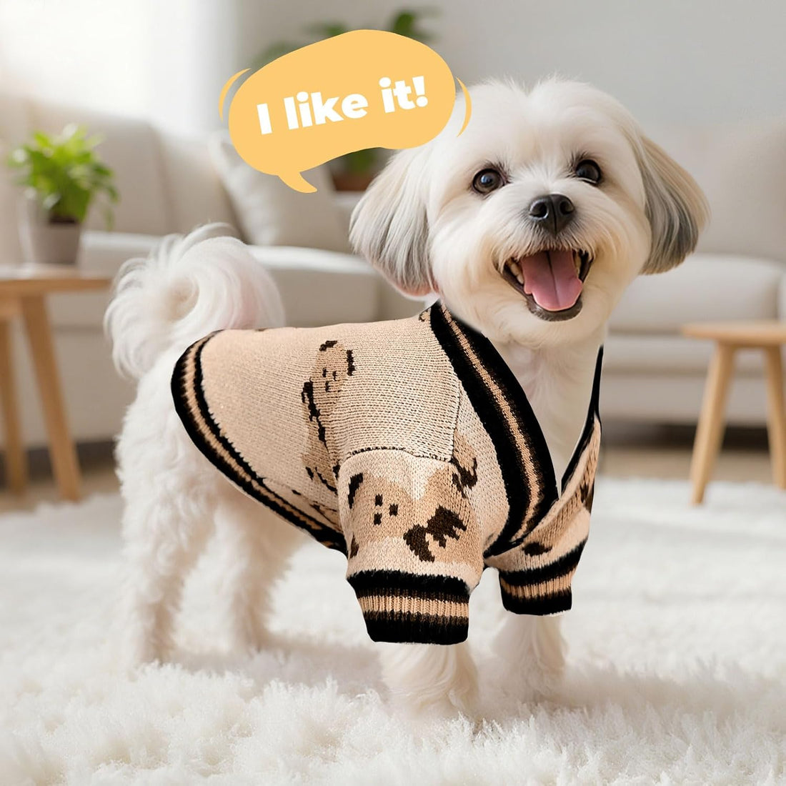 PETCARE Small Dog Sweater Cute Bear Dog Cardigan Coat Clothes