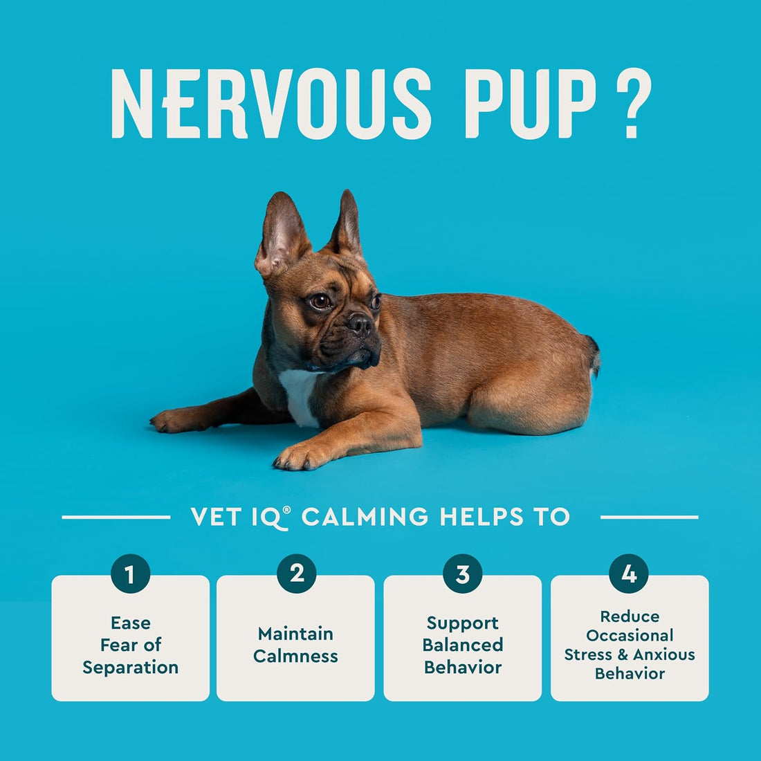 VetIQ Calming Support Chews for Dogs, Anxiety Relief, 90ct