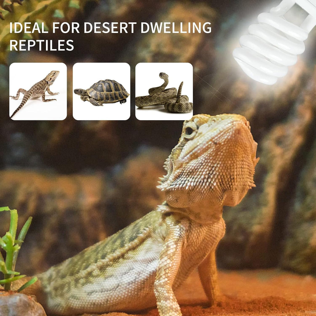 LUCKY HERP Desert UVA UVB Reptile Light Bulb 10.0 26W Compact