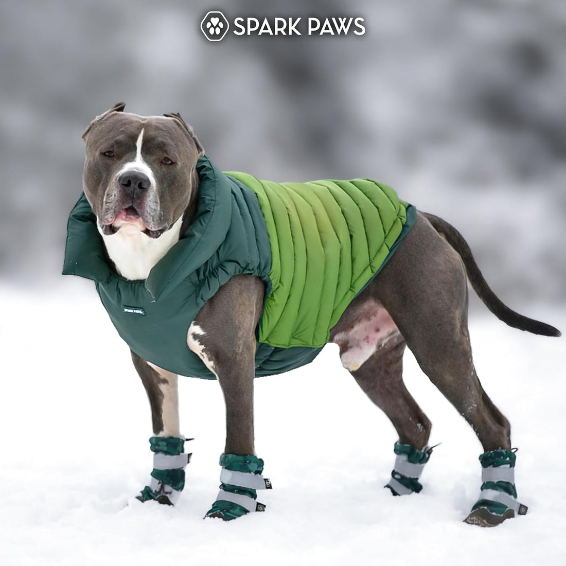 Spark Paws Dog Puffer Jacket, Winter Coat for Small Medium Large Dogs