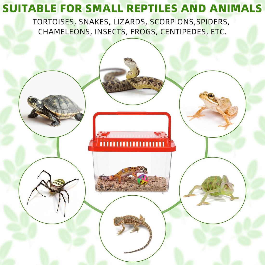LemonRoad 25 Pcs Plastic Reptile Terrariums,Classic,5.1x3.5x3.5 Inch