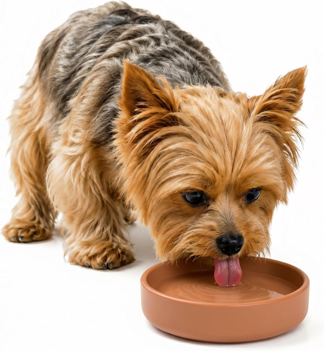 The Perfect Dish - Silicone Dog Bowl for Food & Water, 6" x 1.25"