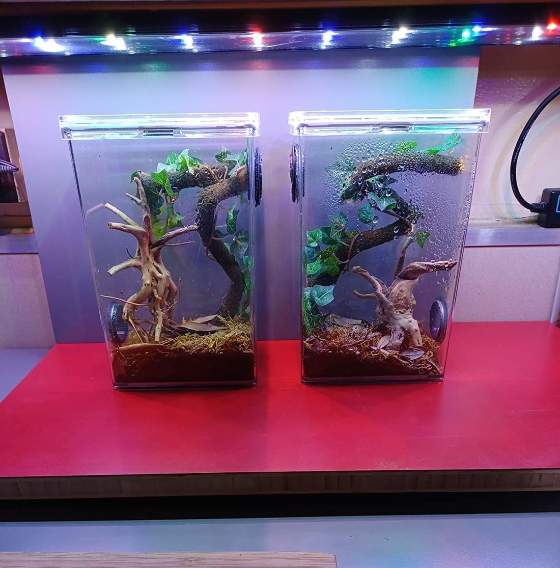 YZHZOM 8pcs Natural Small Spiderwood Driftwood for Aquarium Decor