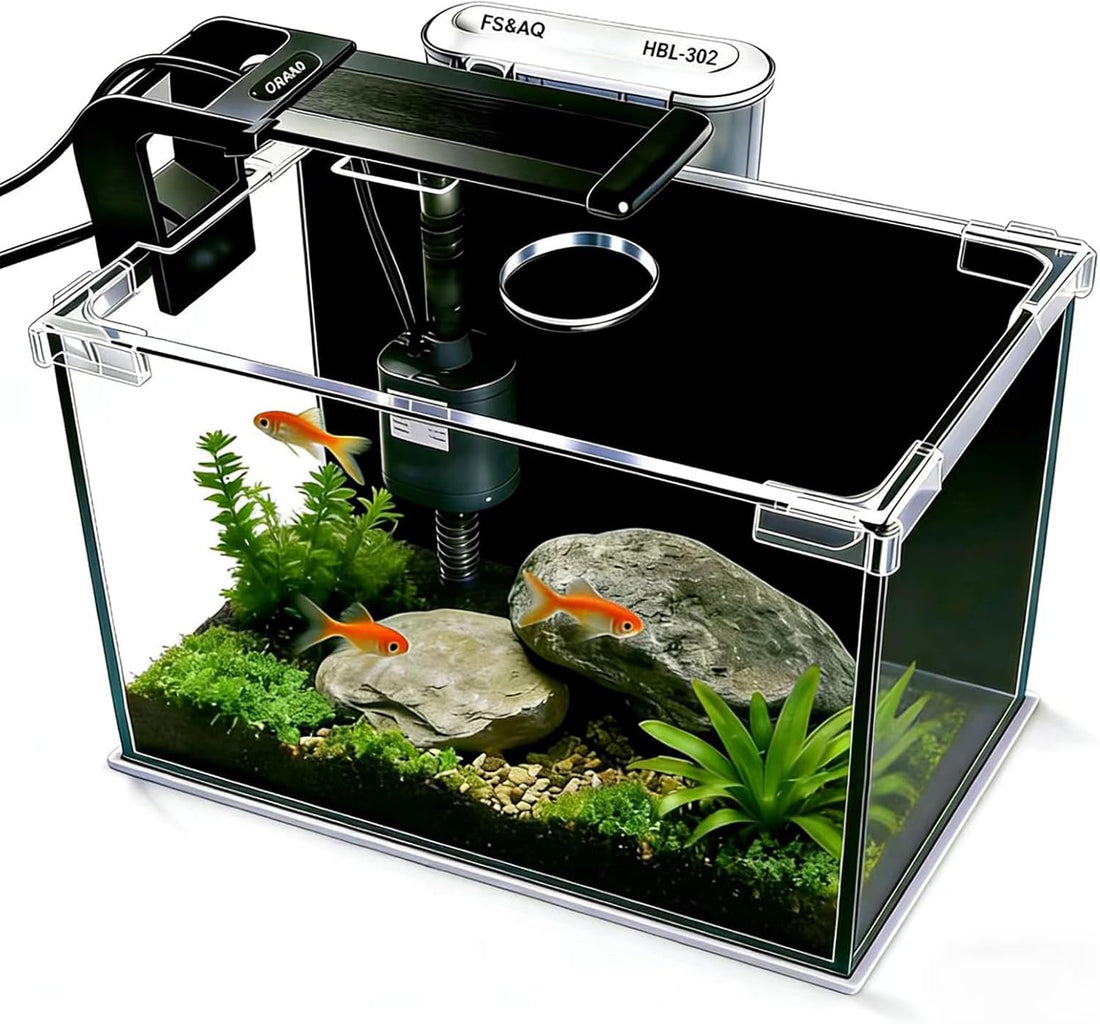 2.5 Gallon Betta Fish Tank with Filter Light and Lid