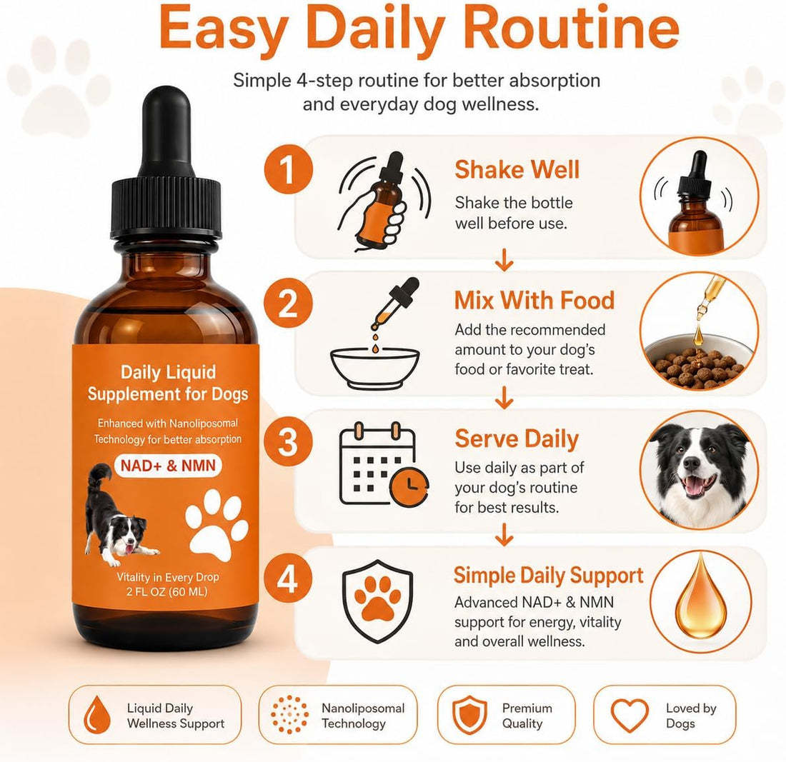 Dog Longevity Support Supplement with NMN, NAD+, CoQ10 & Resveratrol