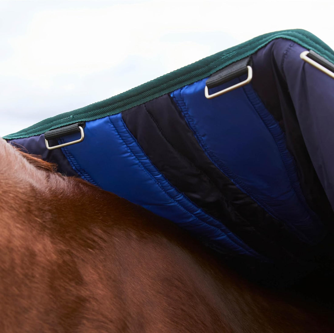 WeatherBeeta ComFiTec Plus Dynamic Turnout 0g, Navy/Forest Green, 81"
