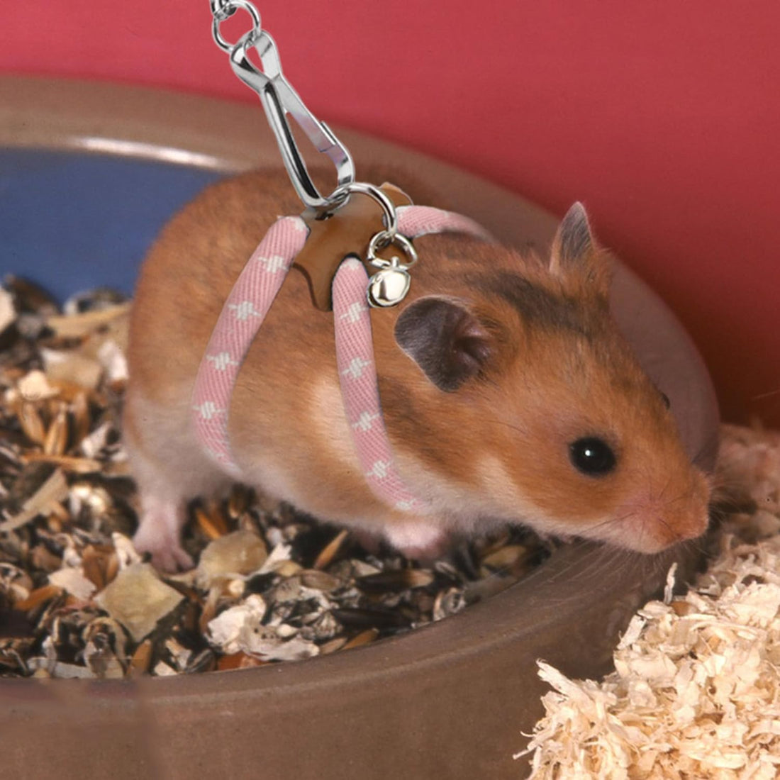 Hypeety Syrian Hamster Leash Harness Set Adjustable Training Lead