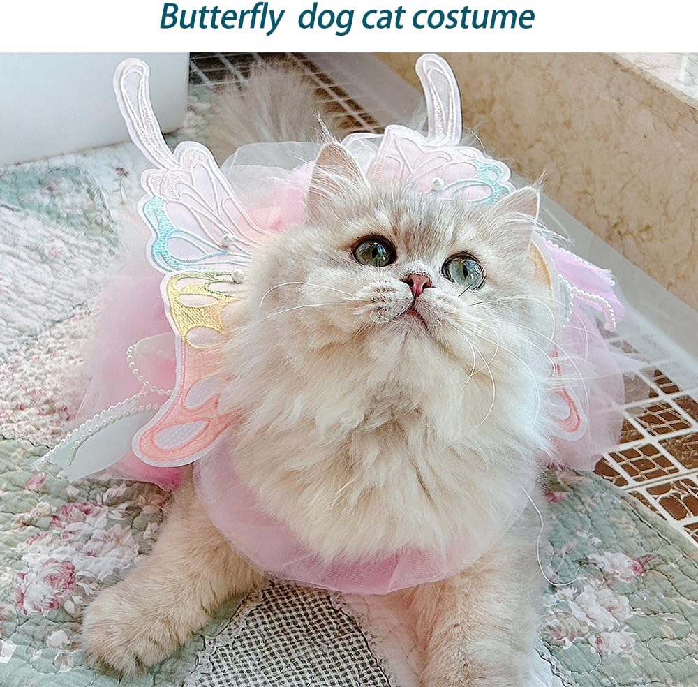 Rainbow Butterfly Dog Dresses for Small Dog Girl Puppy Lace Tutu