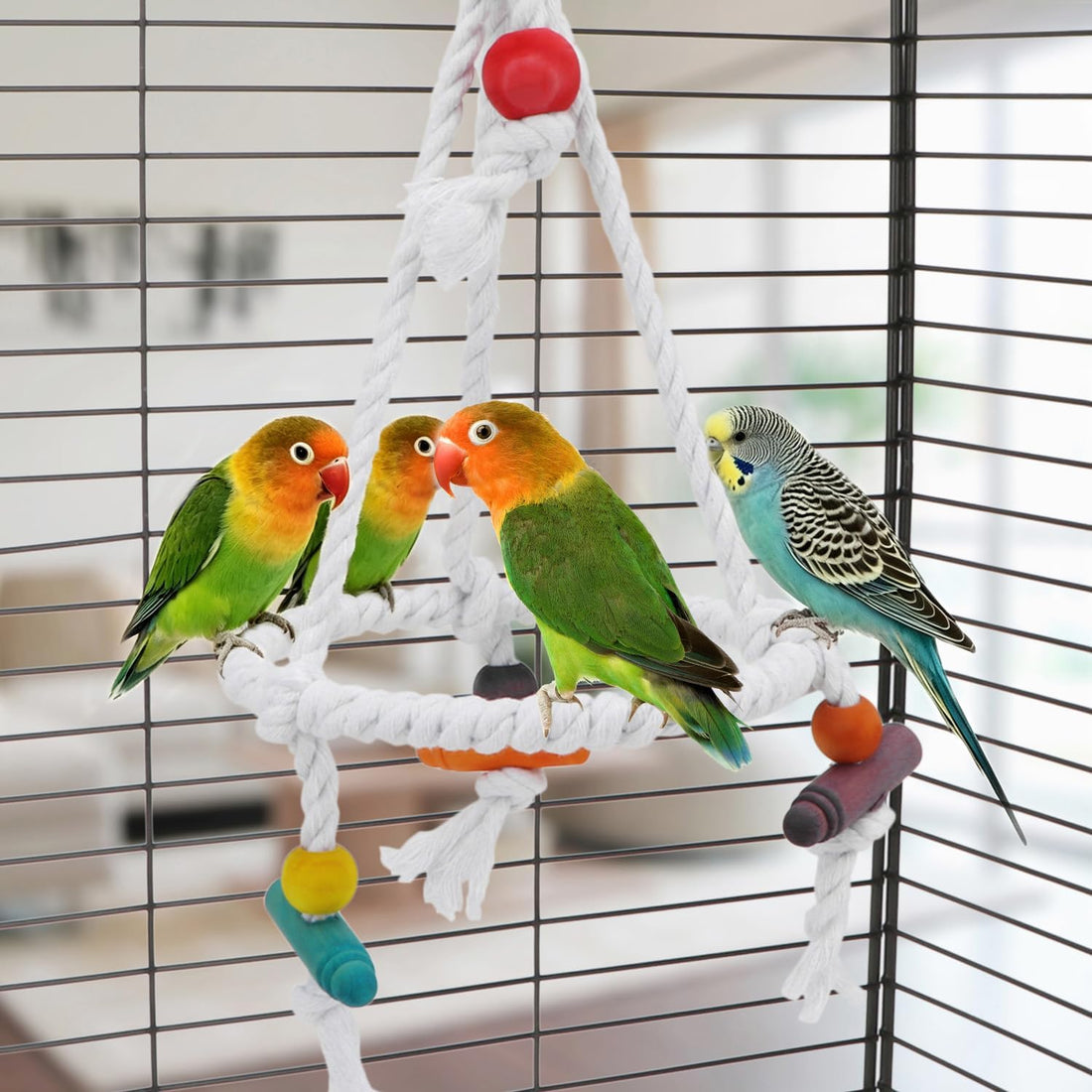 Hypeety Bird Swing Multi Birds Cotton Rope Round Hanging Hammock