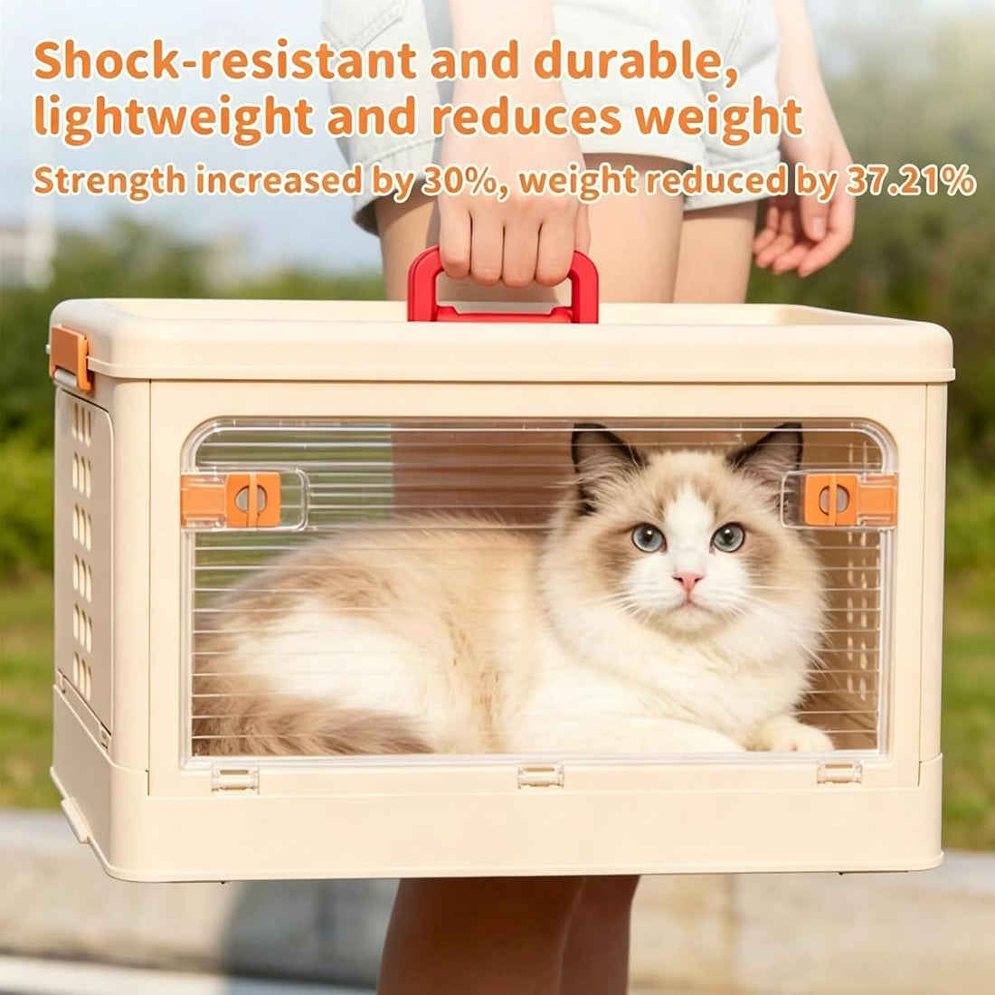 Pet Carrier for Cat & Dog,19-in Collapsible Cat Carrier Hard,Portable