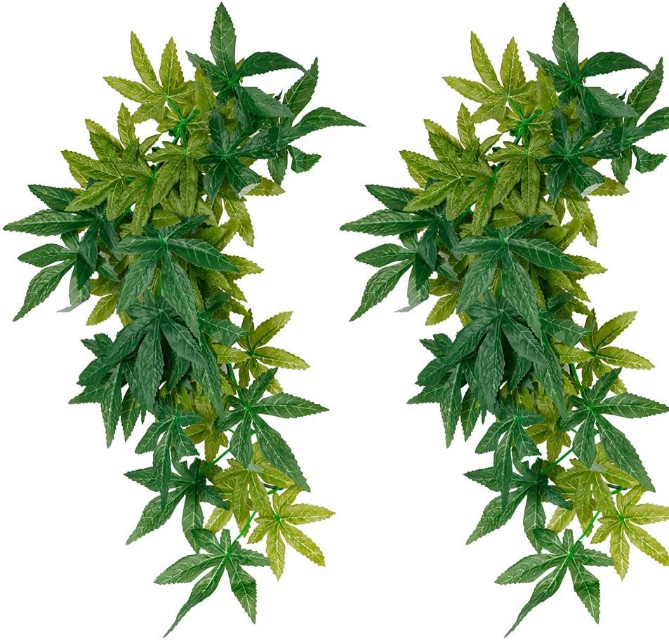 Reptile Plants Hanging Terrarium Plant Amphibian Habitat Decor