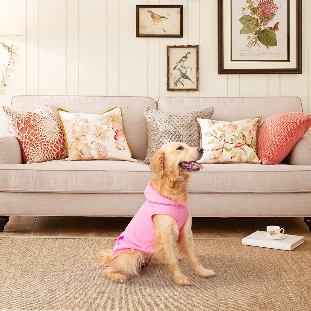 EXPAWLORER Dog Hoodie Fleece Sweater Vest