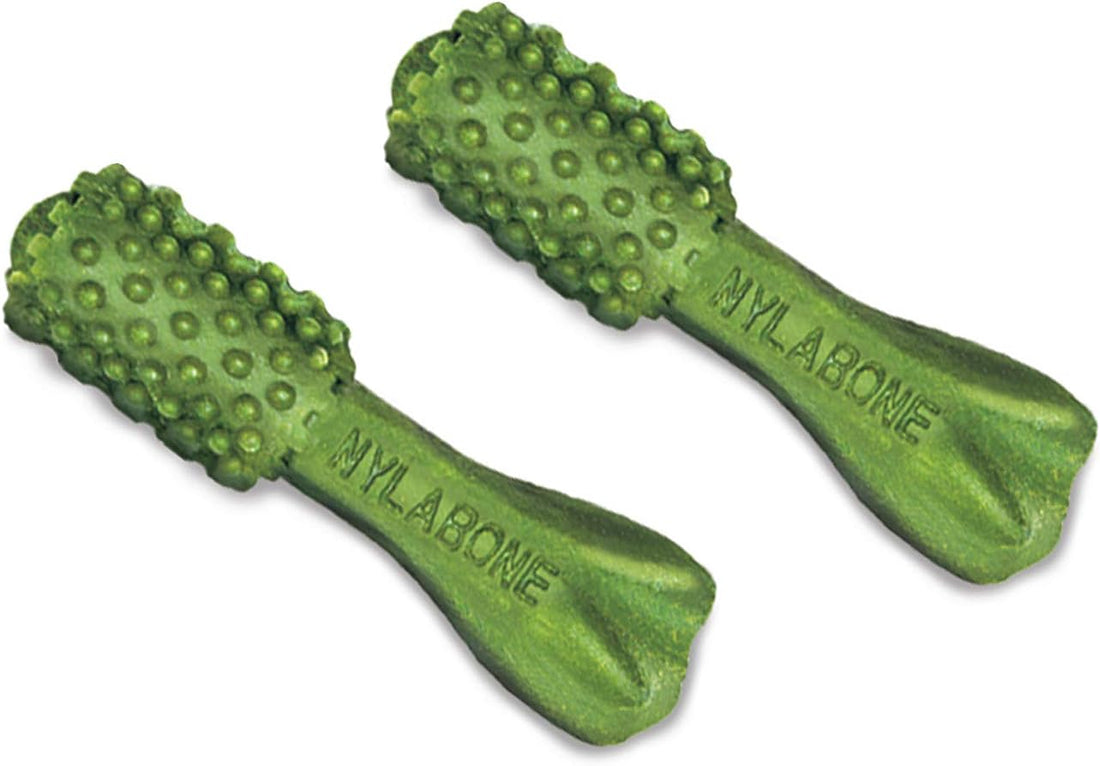 Nylabone Nutri Dent Natural Dental Chews for Dogs