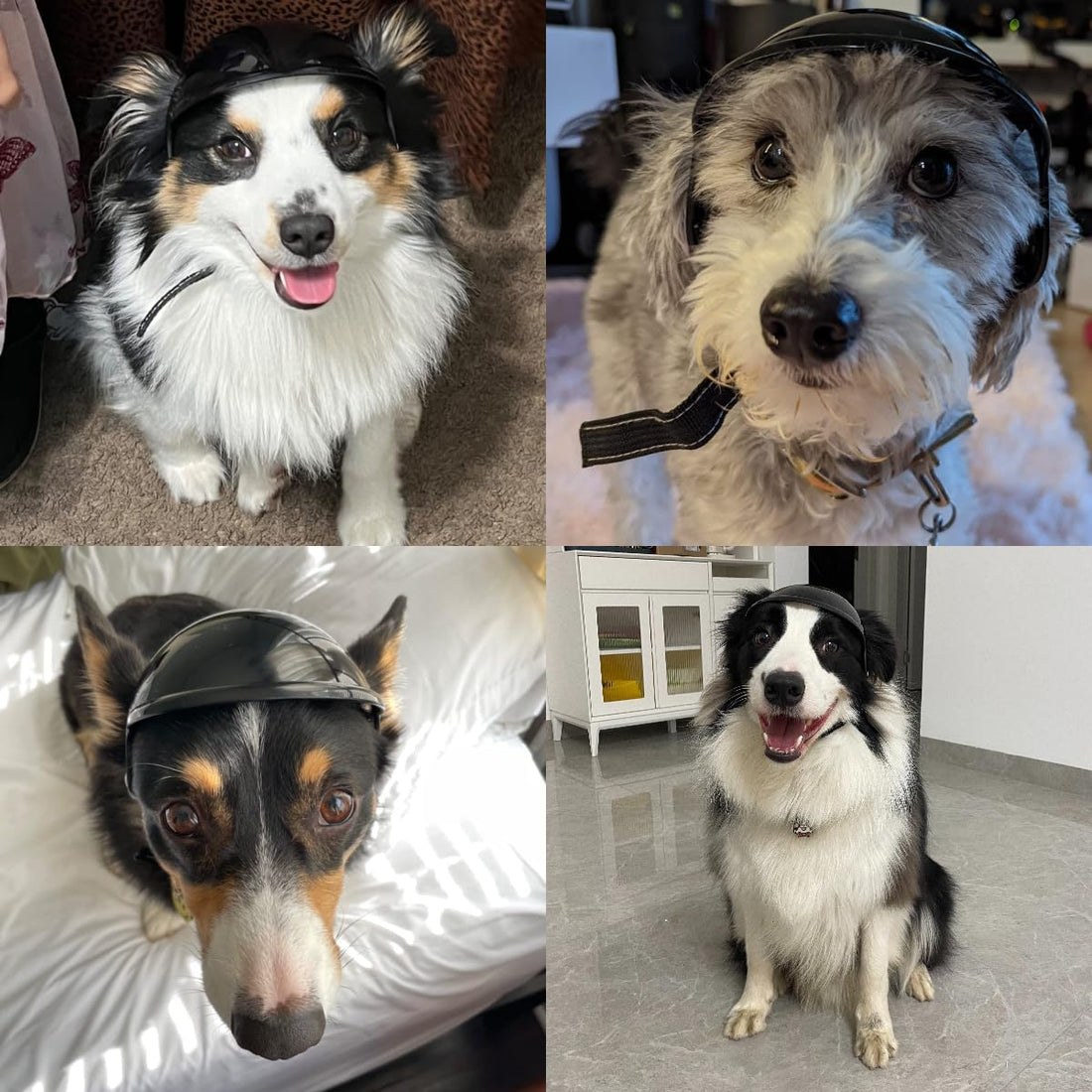 LESYPET Dog Helmet for Large Dogs
