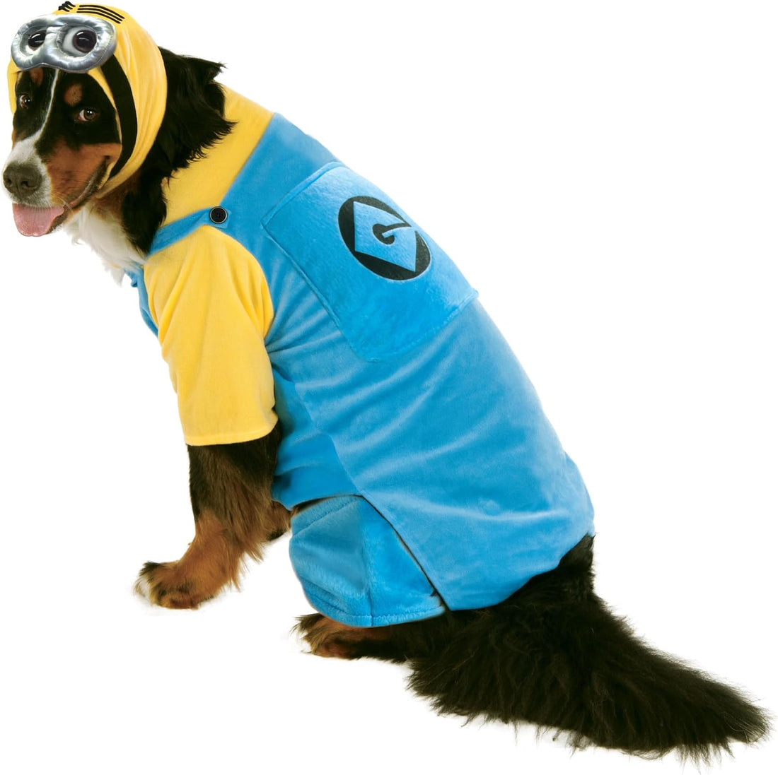 Rubies Despicable Me: Minion Pet Costume for Dogs or Cats, Large
