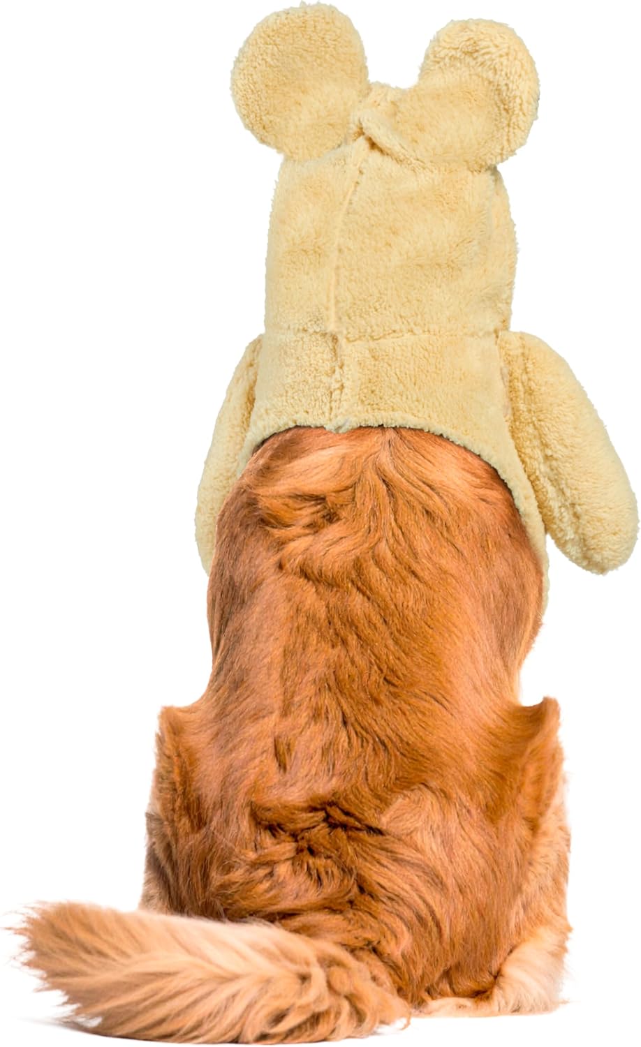Rubies Walking Teddy Bear Pet Costume for Dogs or Cats