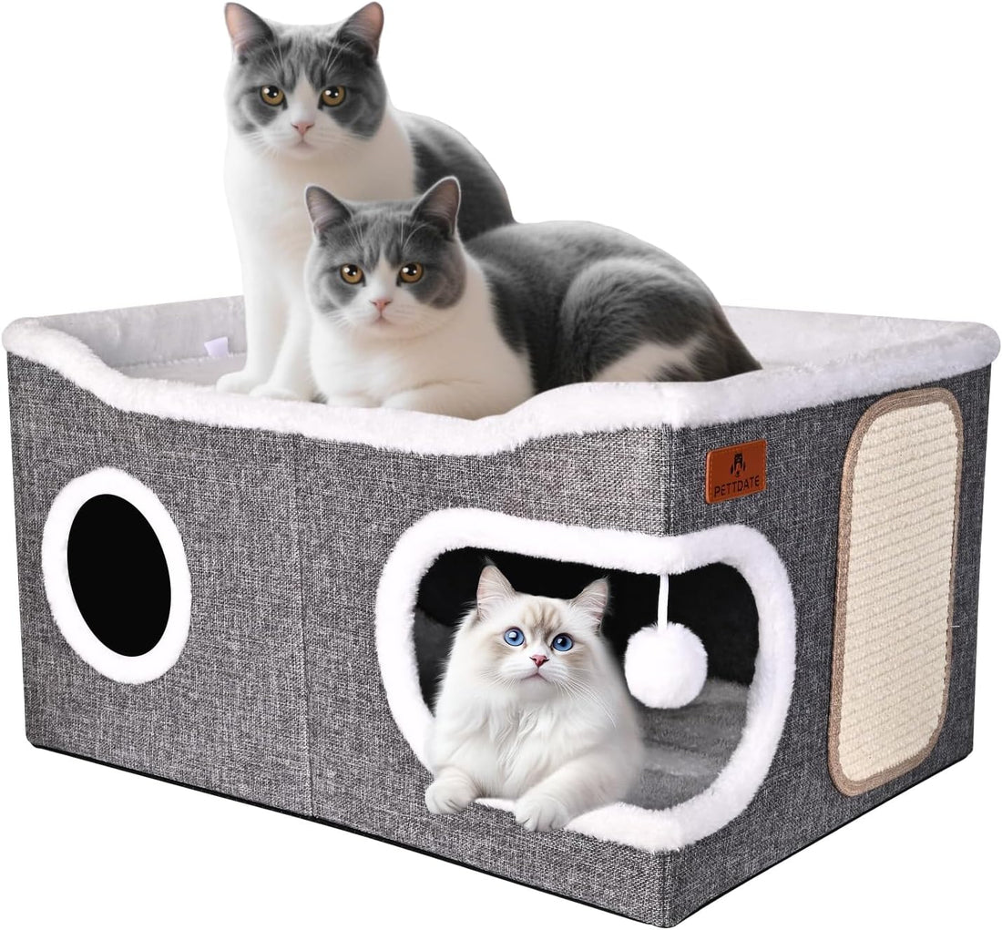 Extra Large Cat Beds for Indoor Cats