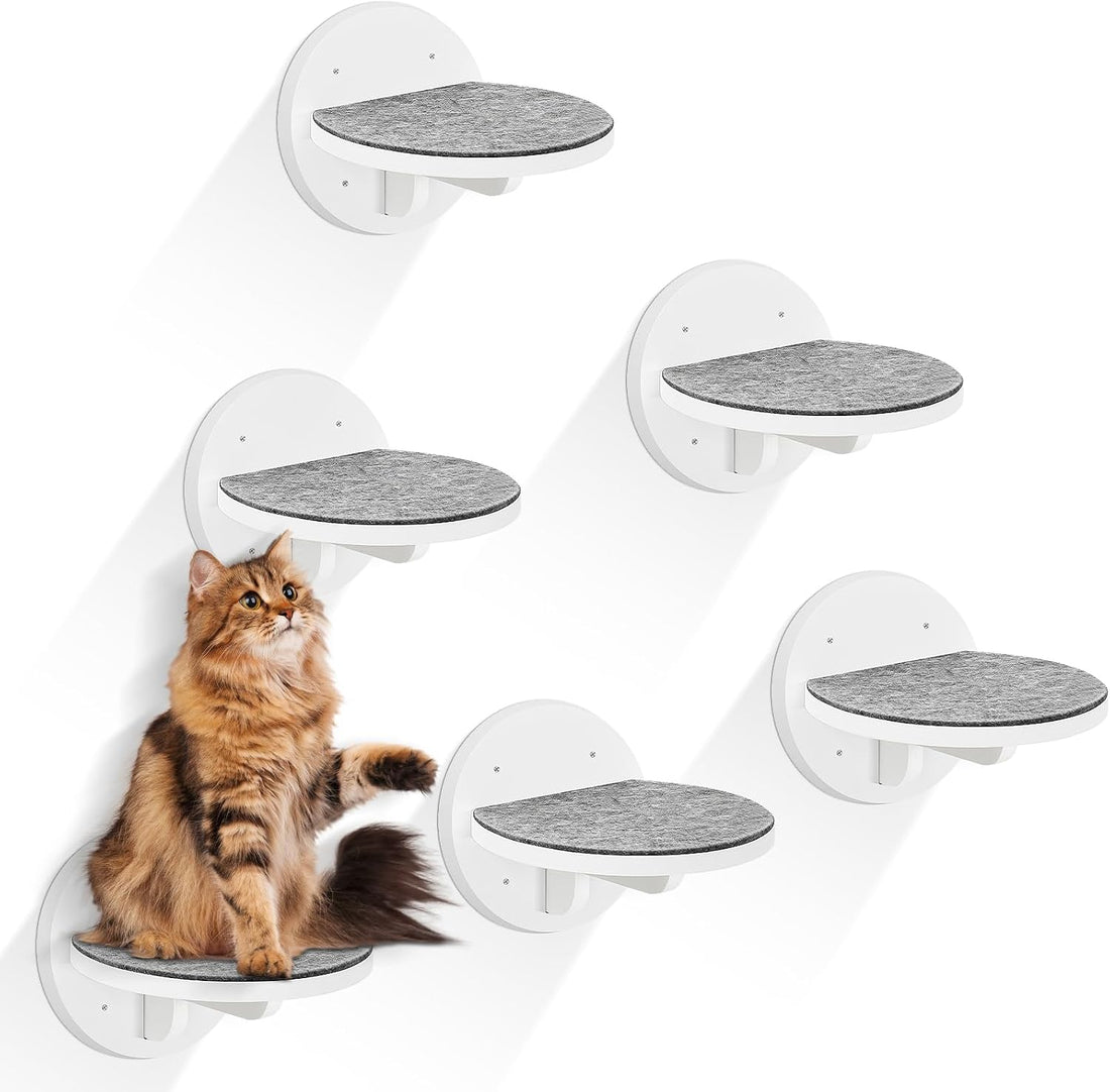 Cat Wall Shelves Furniture Set of 6