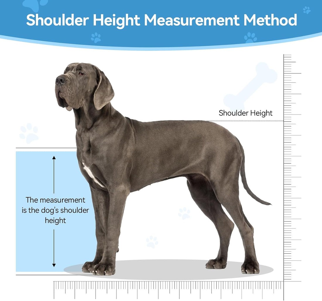 Dog Breeding Stand, Adjustable Stainless Steel Breeding Stand