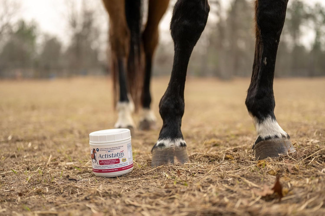 Actistatin Equine Powder - Horse Joint Supplement - 90 Day Supply